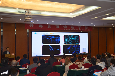 1577673475.png image.png